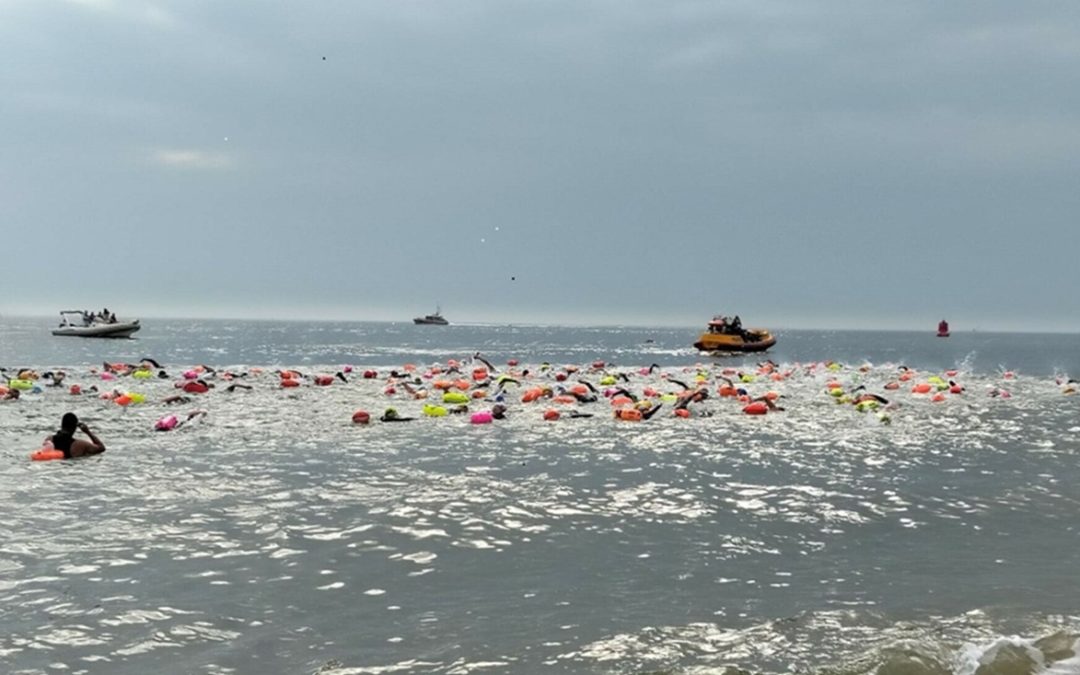 Openwater zomer 2025