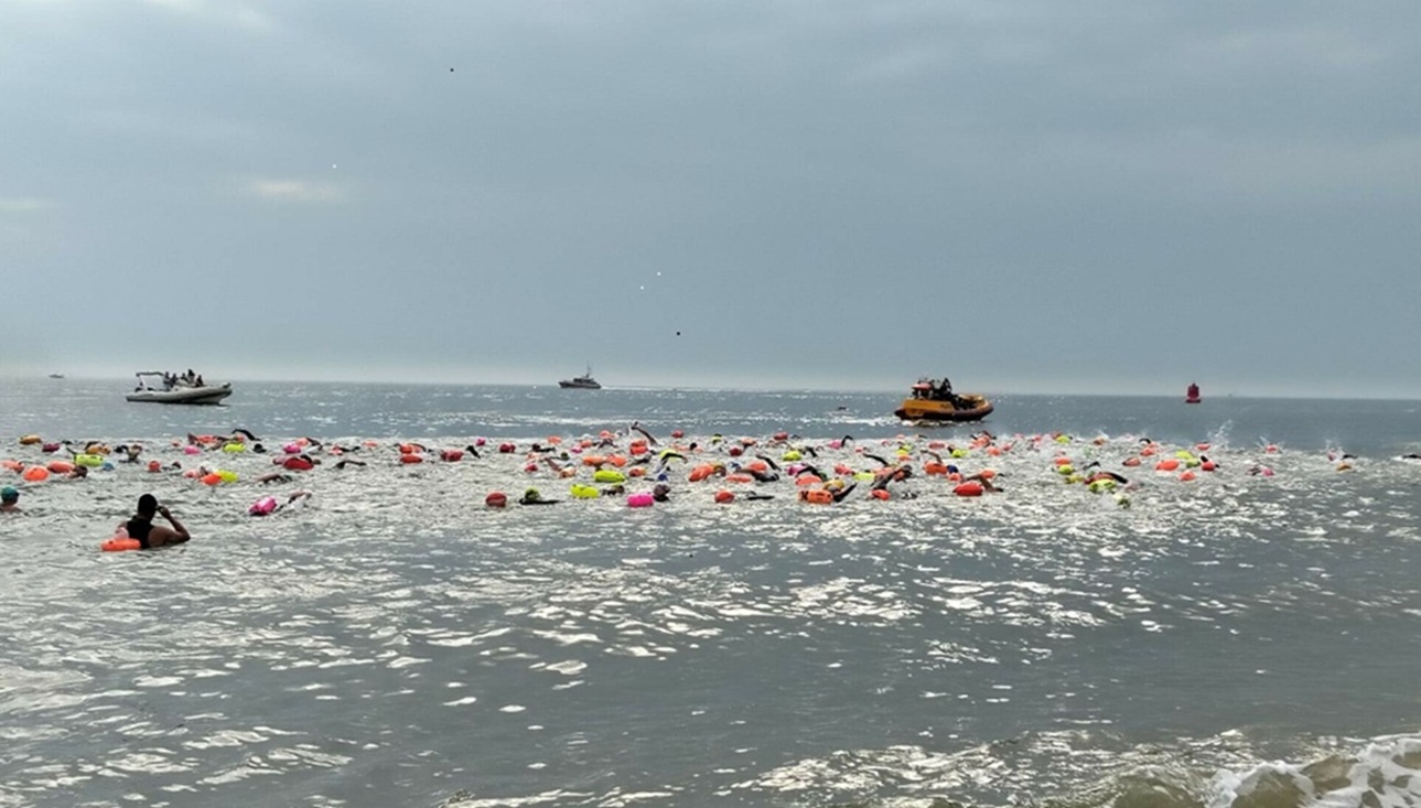 Openwater zomer 2025